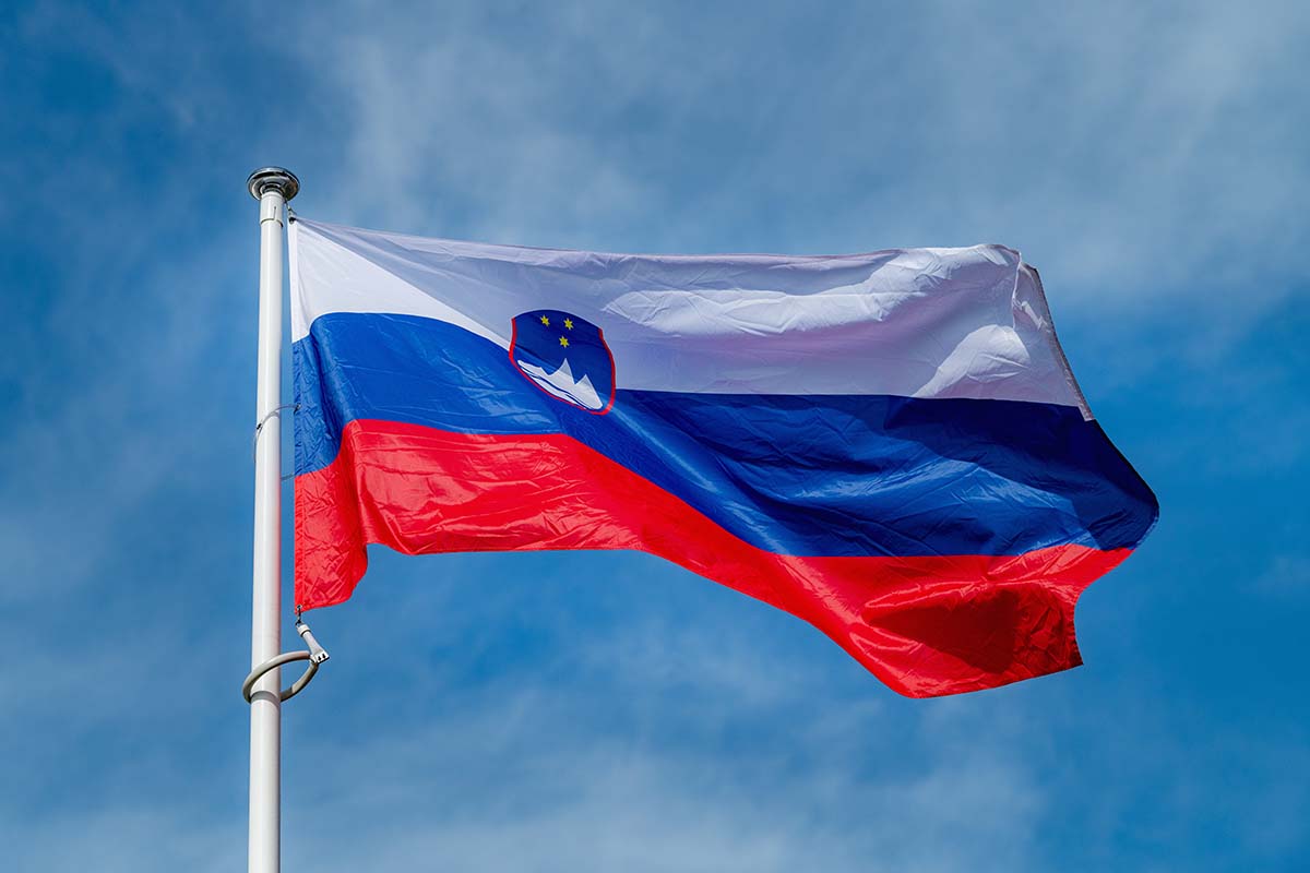 Chauffeur service in Slovenia